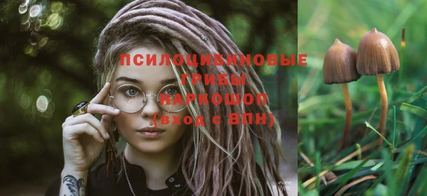бутират Бронницы