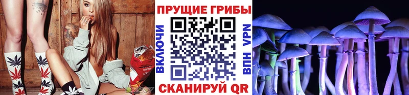 Псилоцибиновые грибы Magic Shrooms Сосногорск
